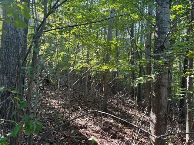 #-40 E North Wind Trail