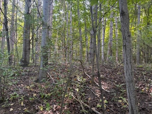 #-40 E North Wind Trail