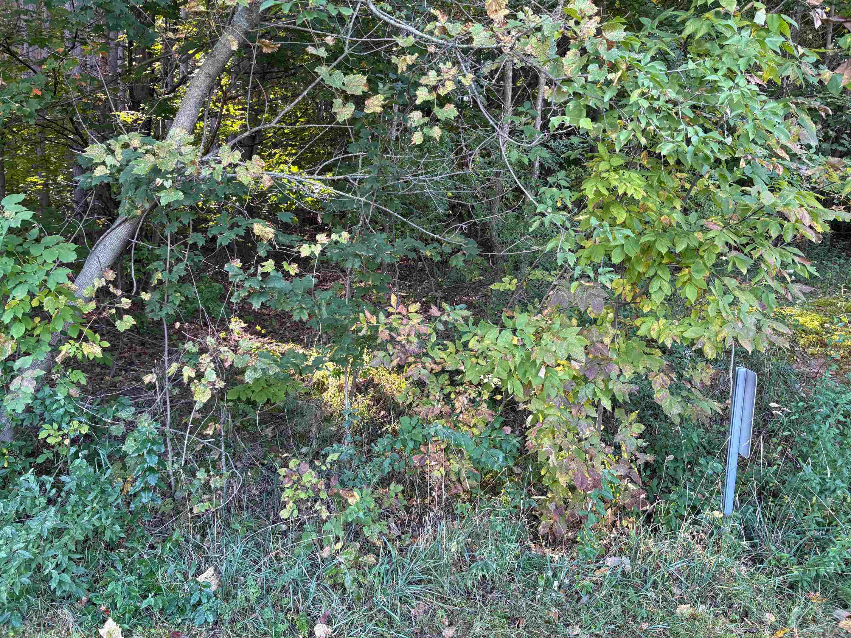 #-40 E North Wind Trail