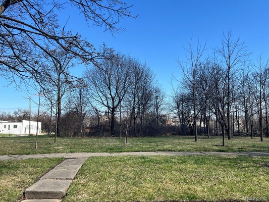 5034 VERMONT ST, DETROIT, MI 48208 - Image ca1a766937e268c97e94be1f4e8f31f2/1205789946