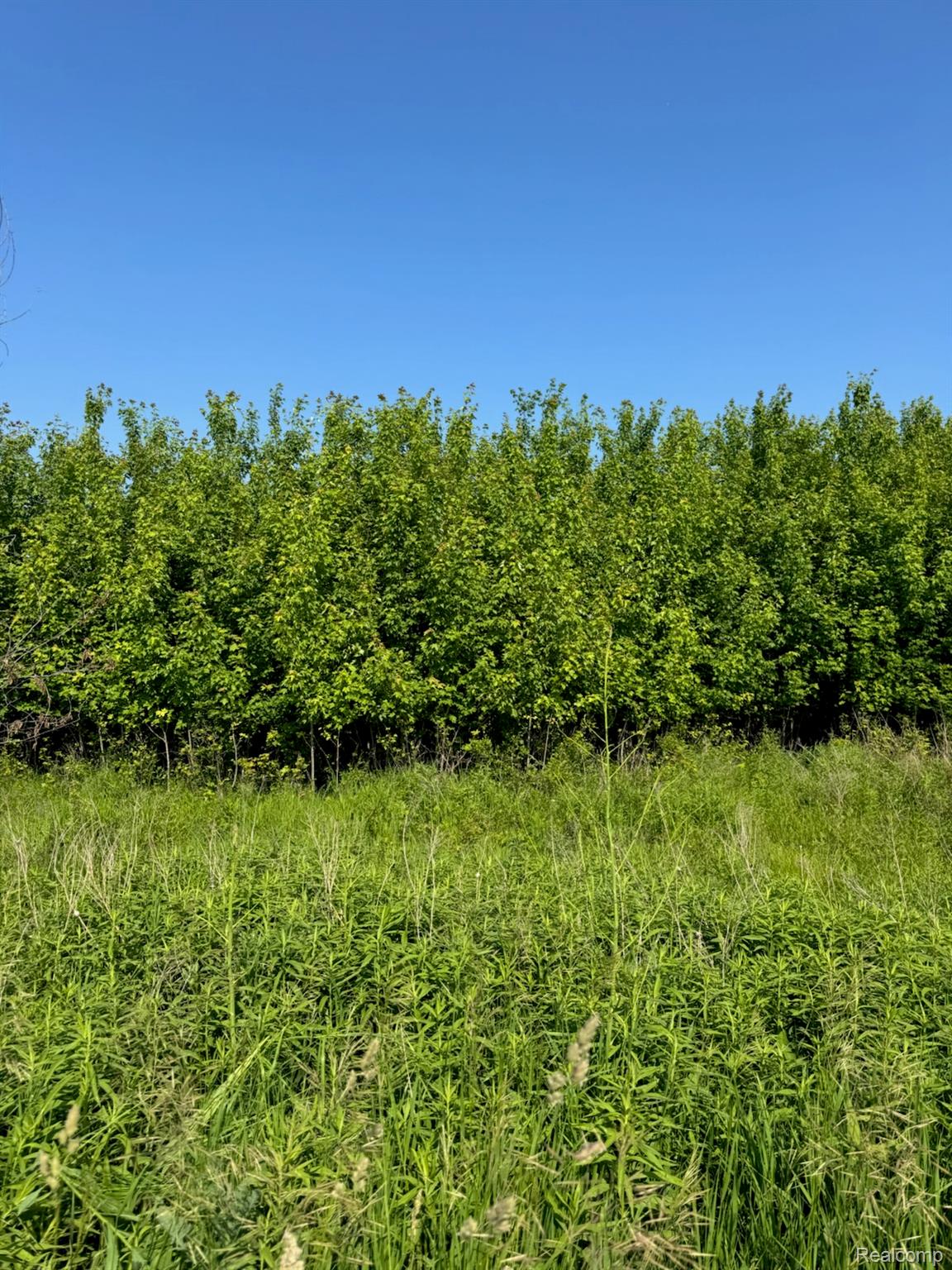 Speaker Township, Michigan 48466, United States, 3 Bedrooms Bedrooms, ,2 BathroomsBathrooms,Residential,Active,152406