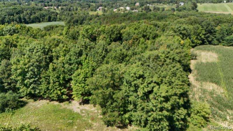 Parcel 4 Sycamore St