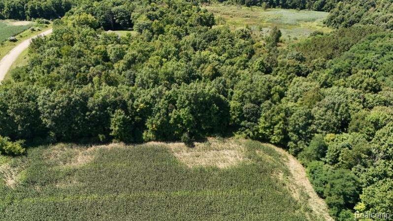 Parcel 4 Sycamore St