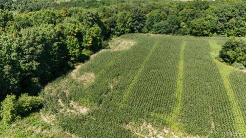 Parcel 4 Sycamore St Dryden Township MI 48428