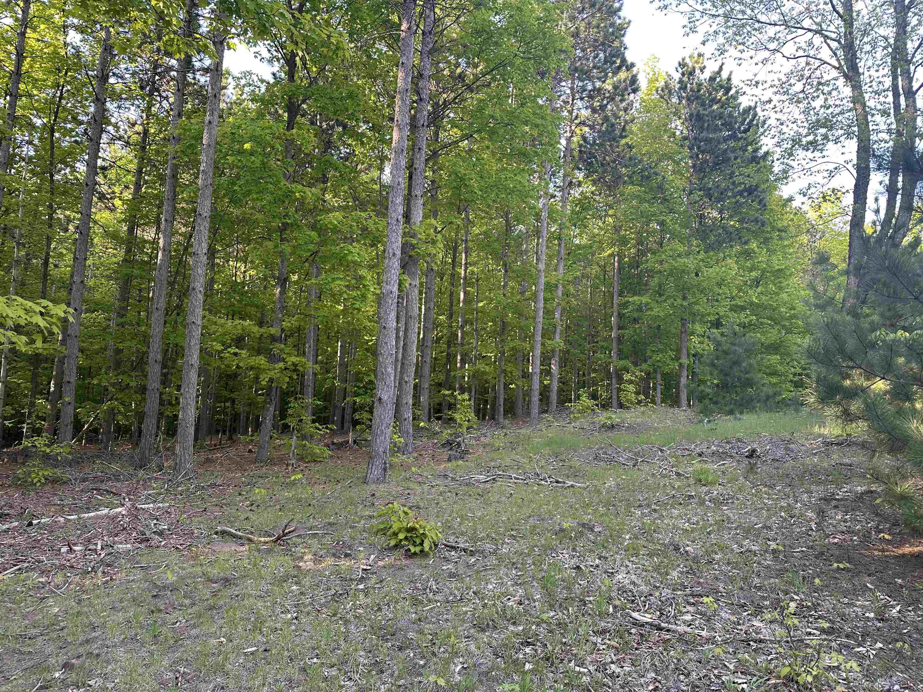 Parcel 8 Karnes Road