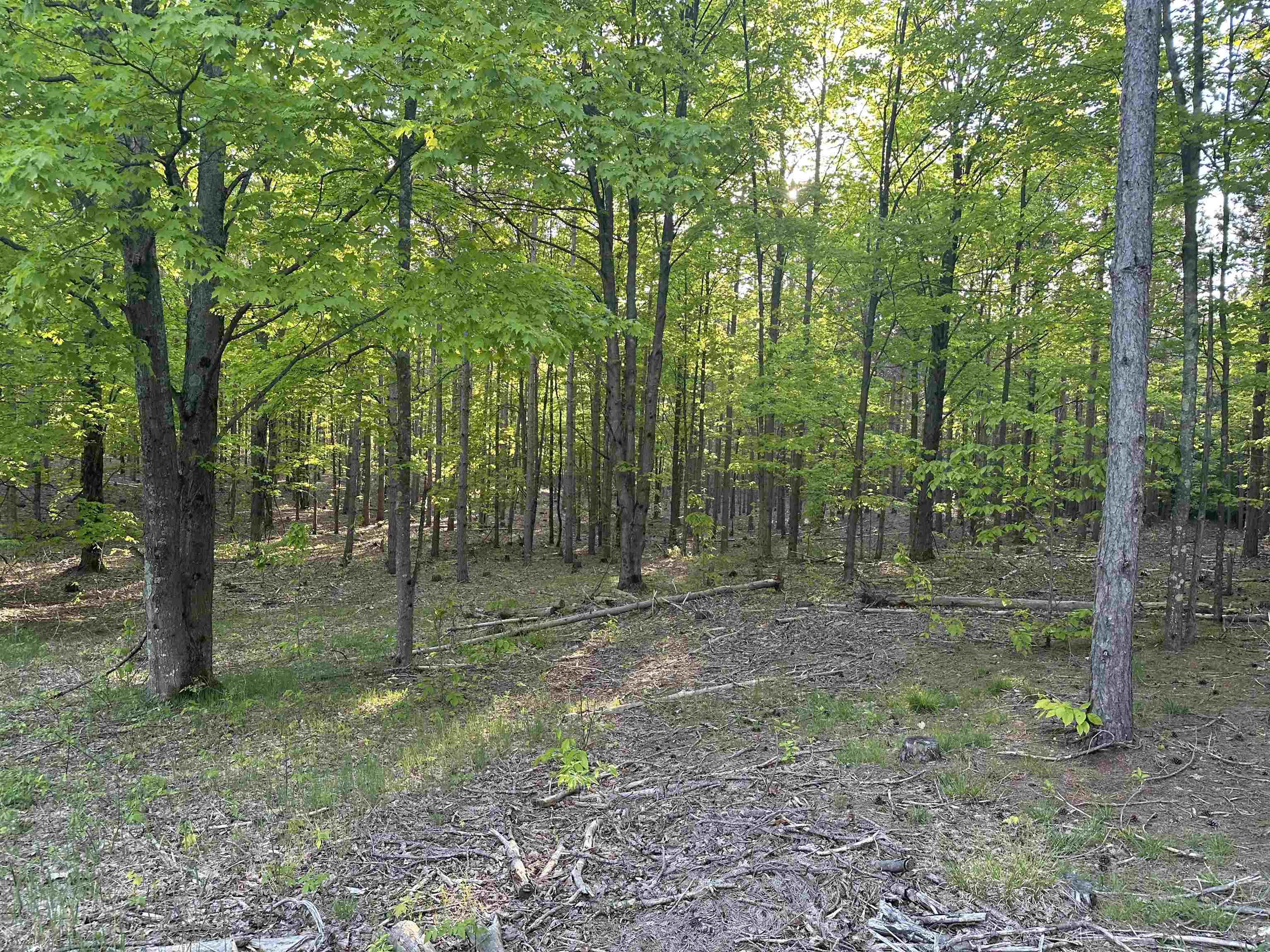 Parcel 8 Karnes Road