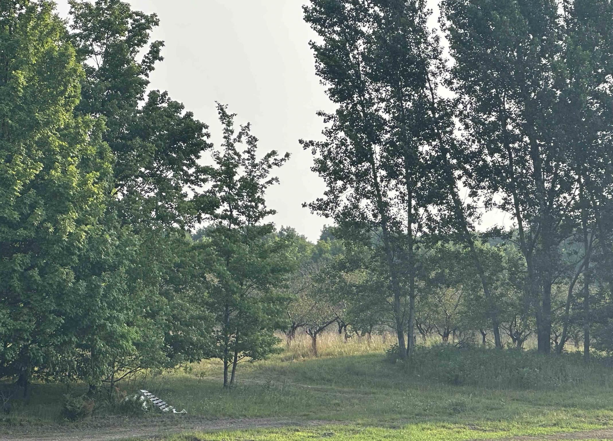 Parcel 8 Karnes Road