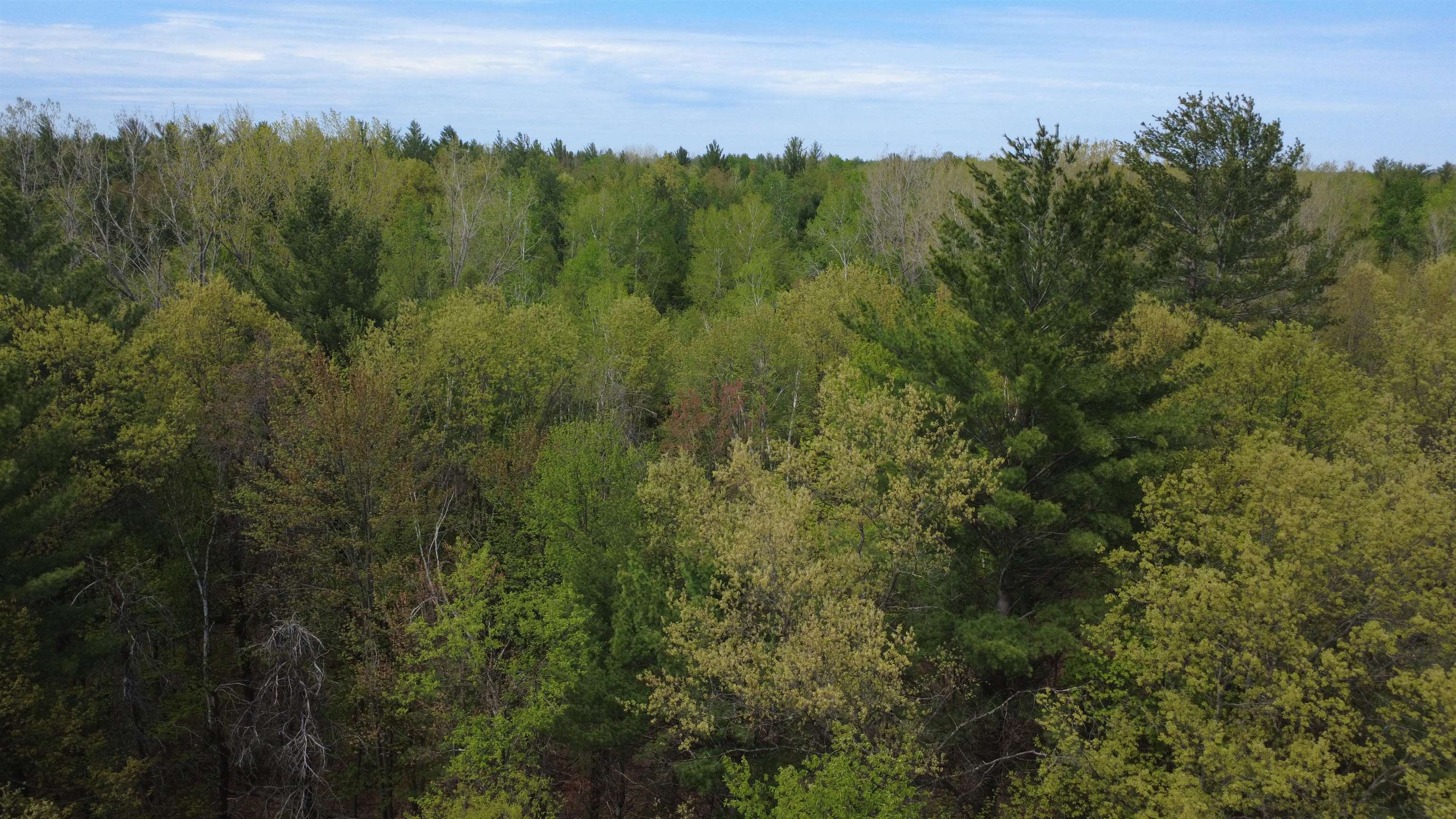 x Hillside Drive