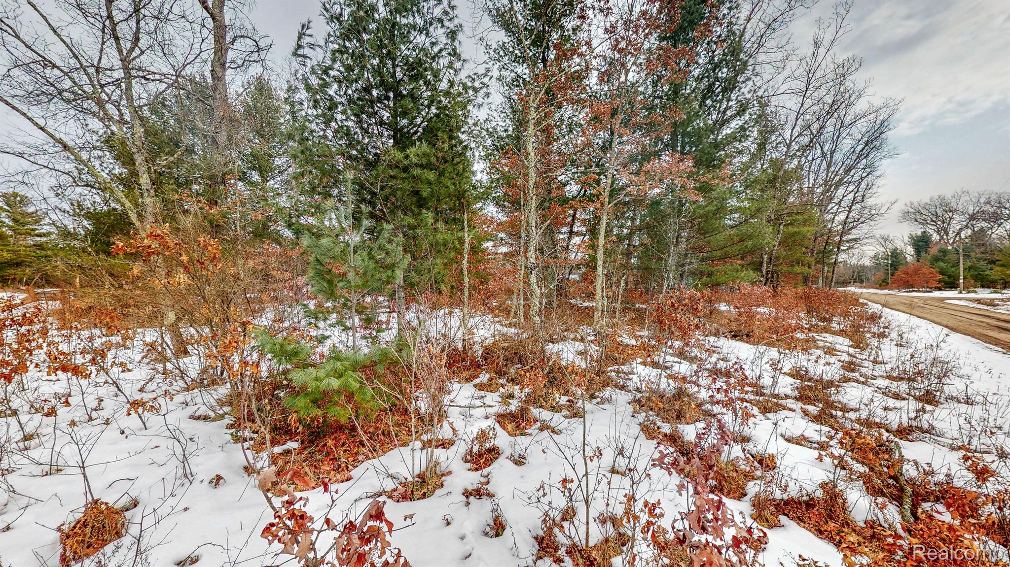 YatesTownship_Lake, Michigan 49642, United States, 2 Bedrooms Bedrooms, ,1 BathroomBathrooms,Residential,Active,87160