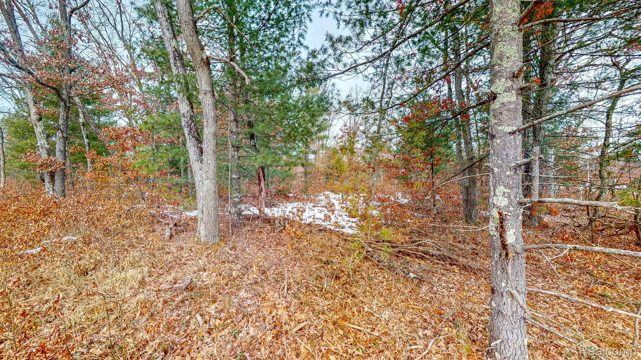 YatesTownship_Lake, Michigan 49642, United States, 2 Bedrooms Bedrooms, ,1 BathroomBathrooms,Residential,Active,87160