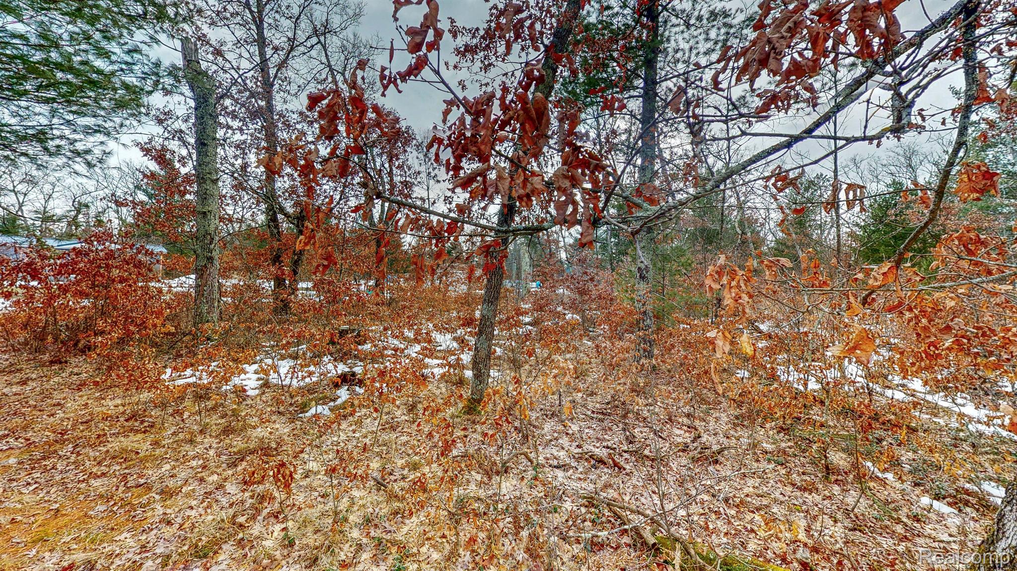 YatesTownship_Lake, Michigan 49642, United States, 2 Bedrooms Bedrooms, ,1 BathroomBathrooms,Residential,Active,87160