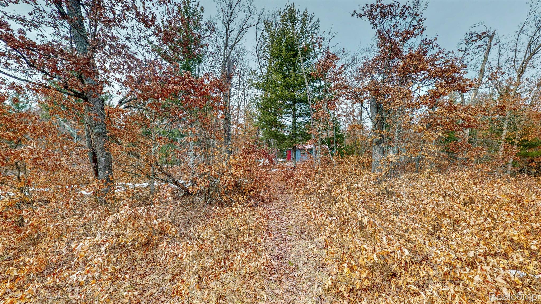 YatesTownship_Lake, Michigan 49642, United States, 2 Bedrooms Bedrooms, ,1 BathroomBathrooms,Residential,Active,87160