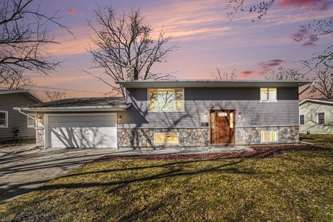 898 Riverview Alma City MI 48801