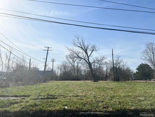 1925 MERRICK ST, DETROIT, MI 48208 - Image cb082bb1773797a87139aa3264ddcd74/875245438