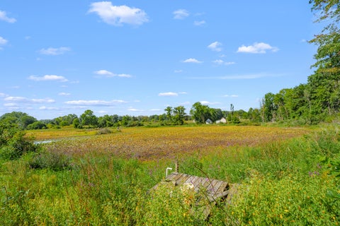 Tiny photo for 12405 Oak Ridge Road, Prairieville Township, MI 49080 (MLS # 66026045918)