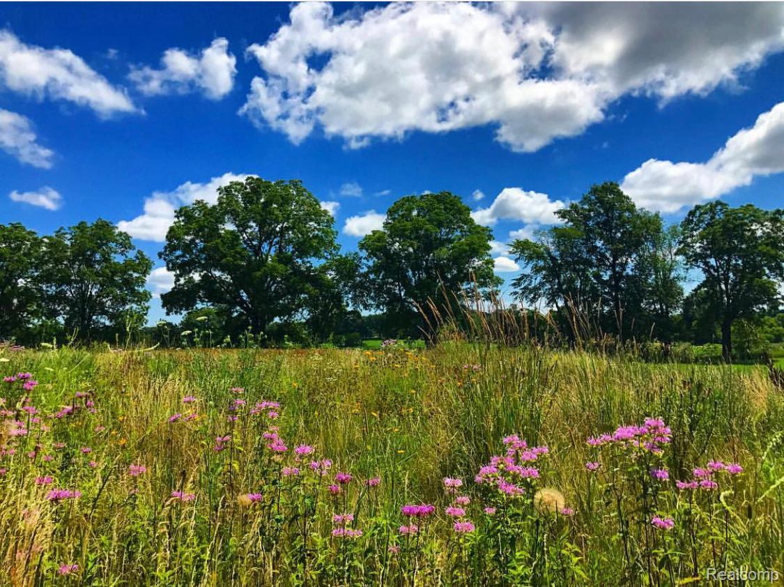 Sciota Township, Michigan 48848, United States, 3 Bedrooms Bedrooms, ,3 BathroomsBathrooms,Residential,Coming Soon,222005