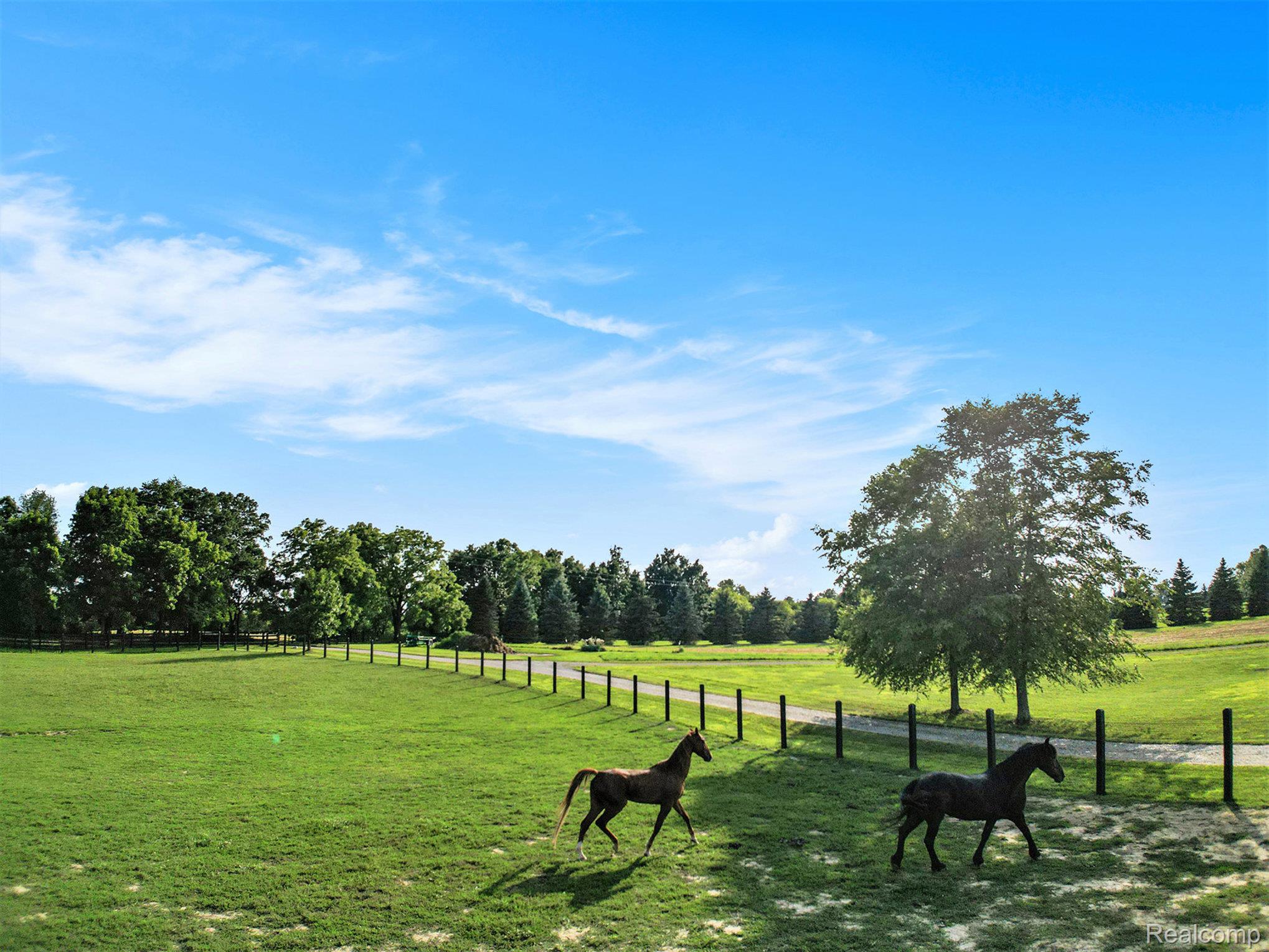 Sciota Township, Michigan 48848, United States, 3 Bedrooms Bedrooms, ,3 BathroomsBathrooms,Residential,Coming Soon,222005