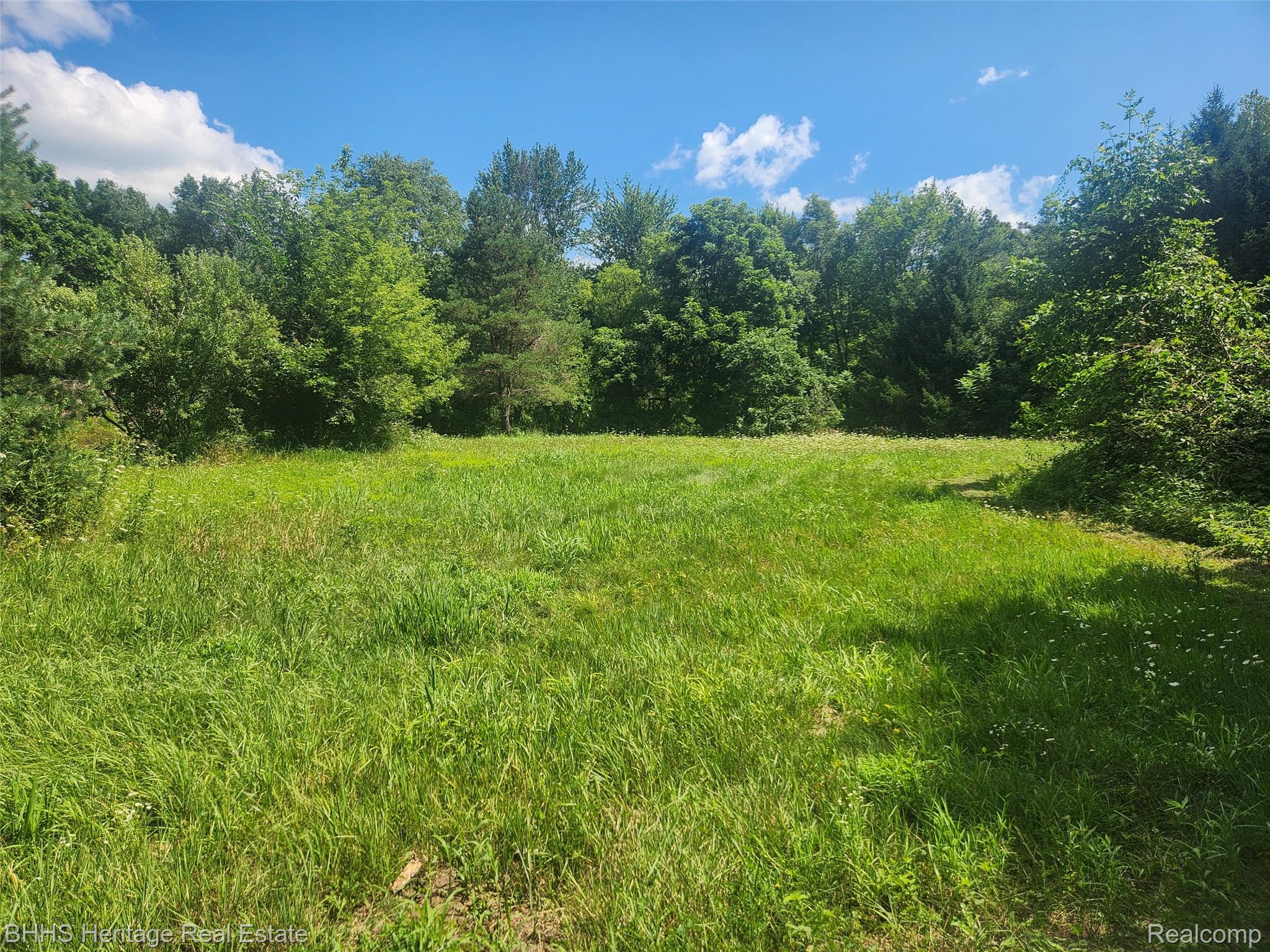 Leslie City, Michigan 49251, United States, ,Land,Active,183303