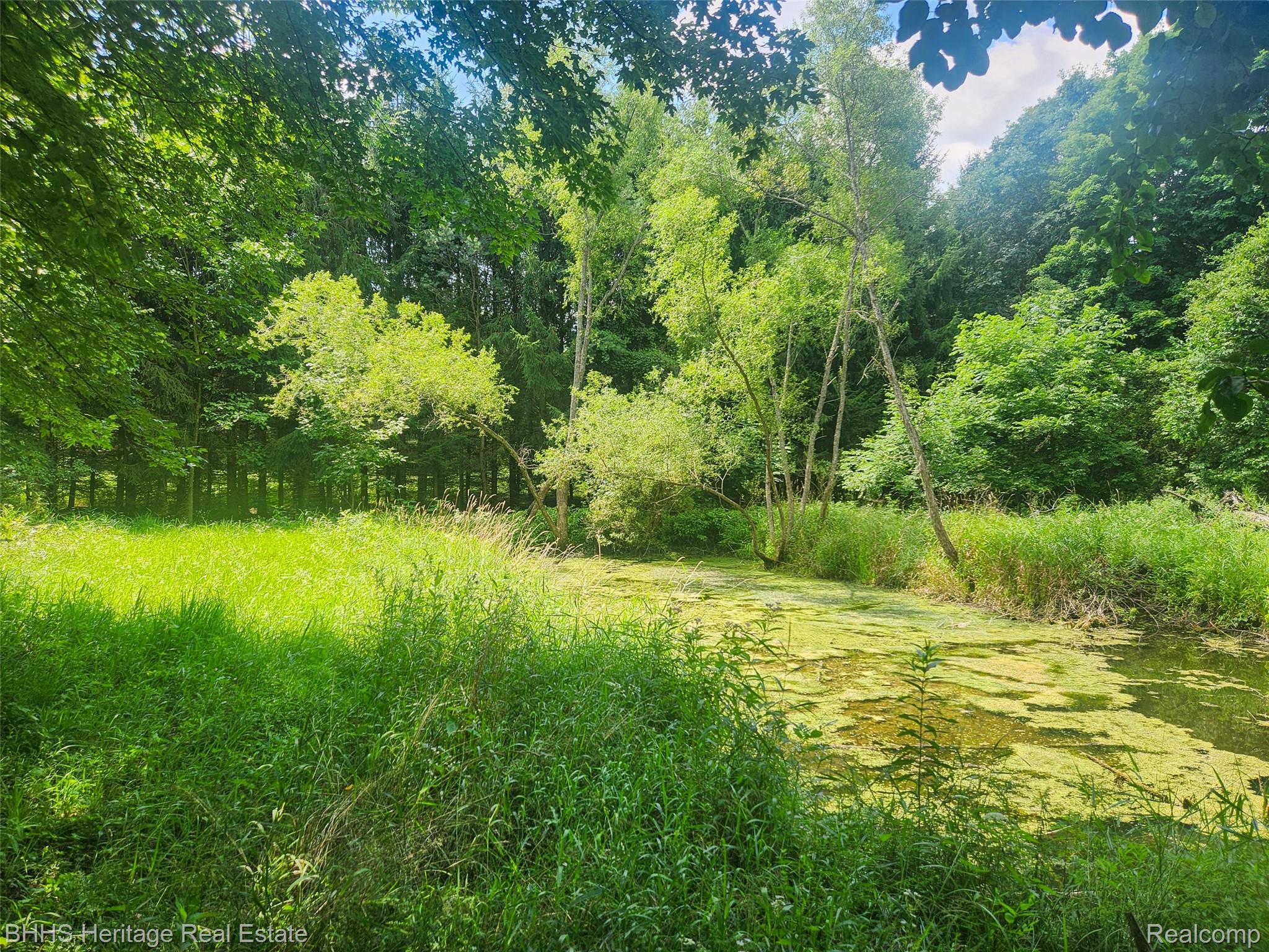 Leslie City, Michigan 49251, United States, ,Land,Active,183303