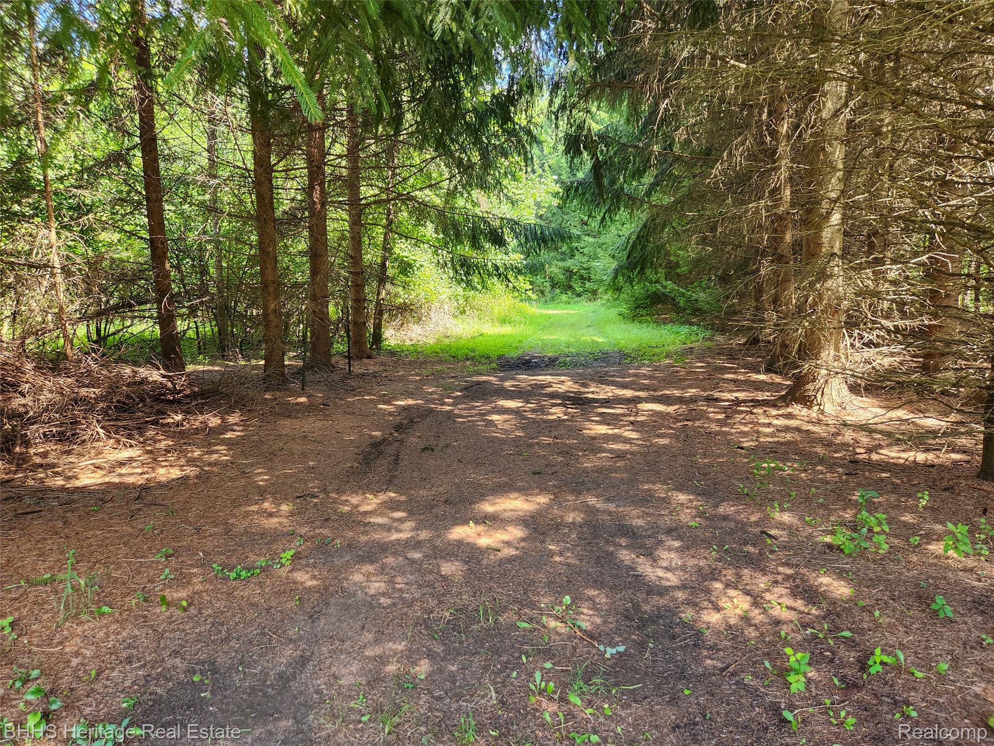 Leslie City, Michigan 49251, United States, ,Land,Active,183303