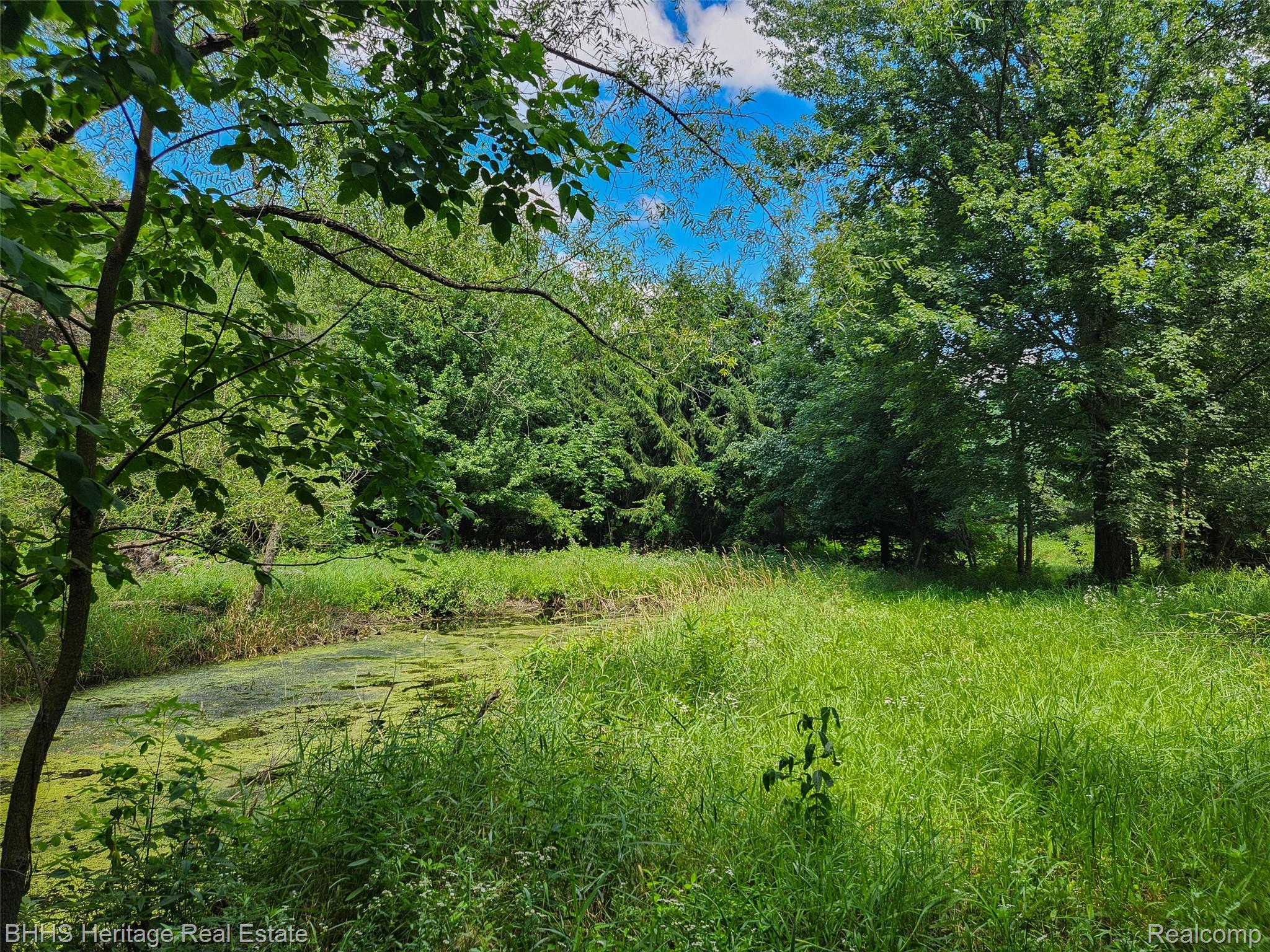 Leslie City, Michigan 49251, United States, ,Land,Active,183303