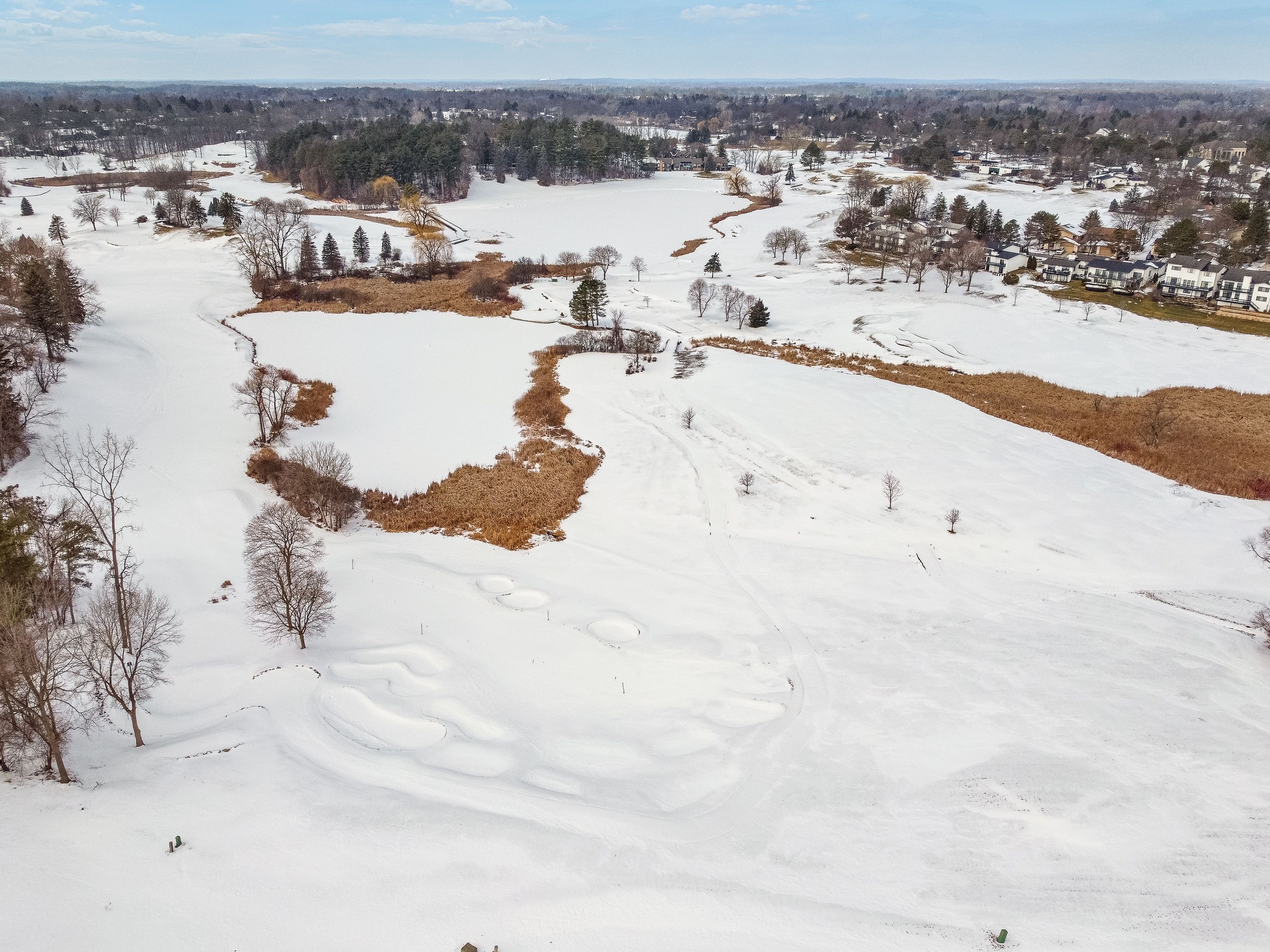 Bloomfield Township, Michigan 48302, United States, 4 Bedrooms Bedrooms, ,5 BathroomsBathrooms,Residential,Pending,81177