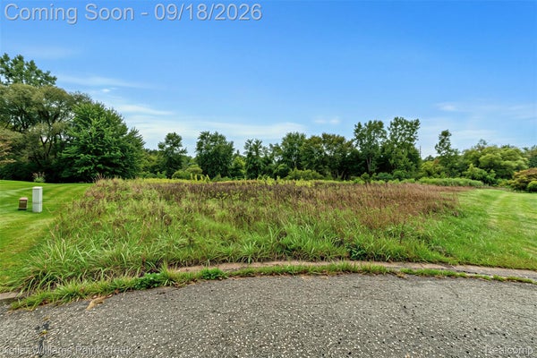 76297 ROSEMARY CT, BRUCE TWP, MI 48065 - Image cbfd2a7cb6ce3c9a9fa0e99d0747b171/3624849598