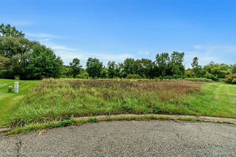 Photo for 76297 Rosemary Court