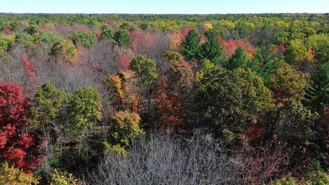 0 Timber Trail Mills Township MI 48756