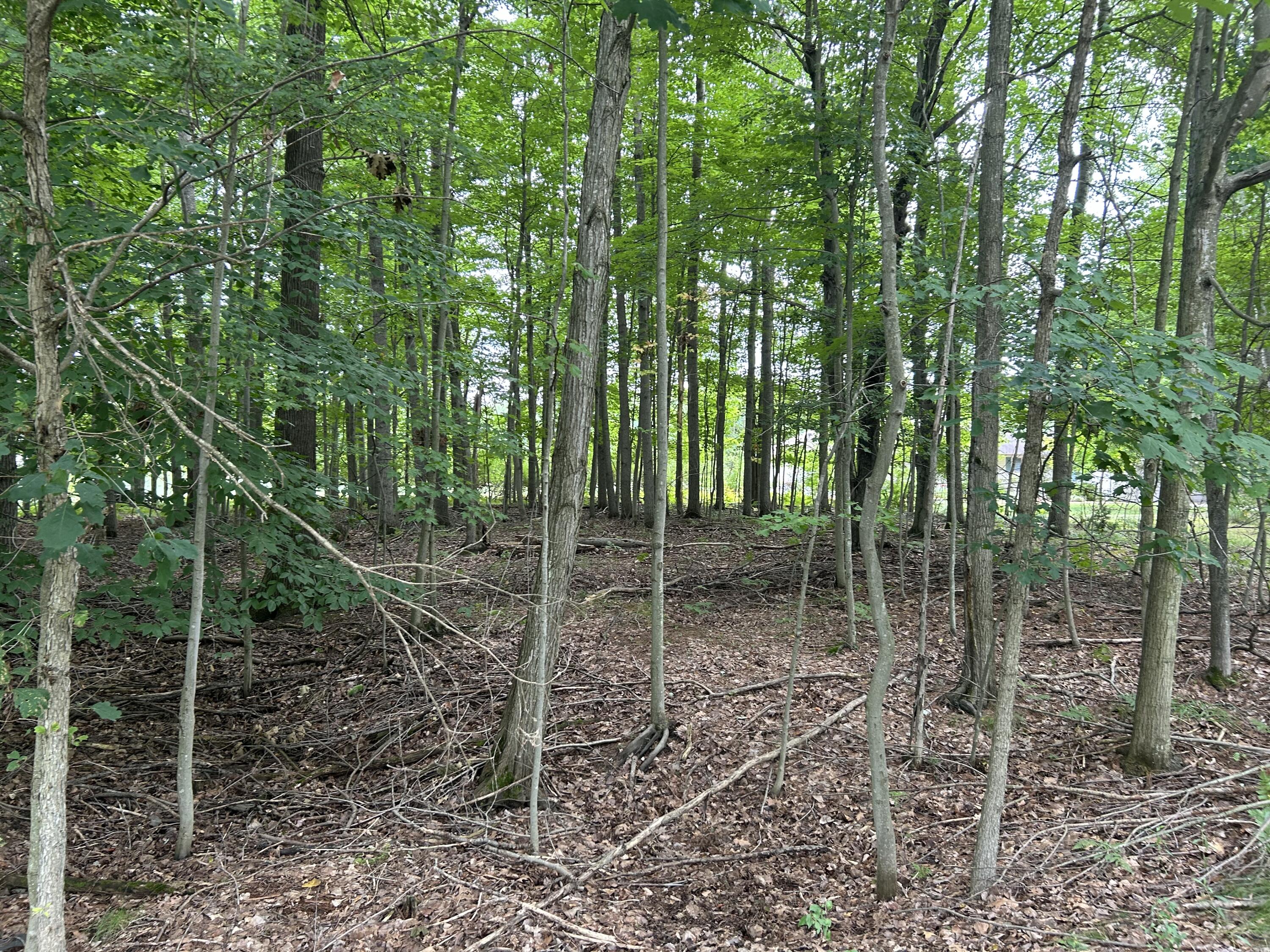 9523 Fawn Ridge Road