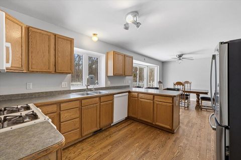 Tiny photo for 1908 Nikki Court, Oceola Township, MI 48843 (MLS # 81026003332)