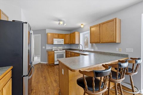 Tiny photo for 1908 Nikki Court, Oceola Township, MI 48843 (MLS # 81026003332)