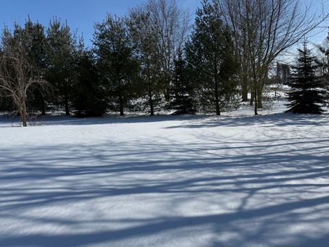 A home in BurnsideTownship_Lapeer