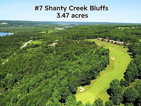07 Creek Hill Drive Kearney Township MI 49615