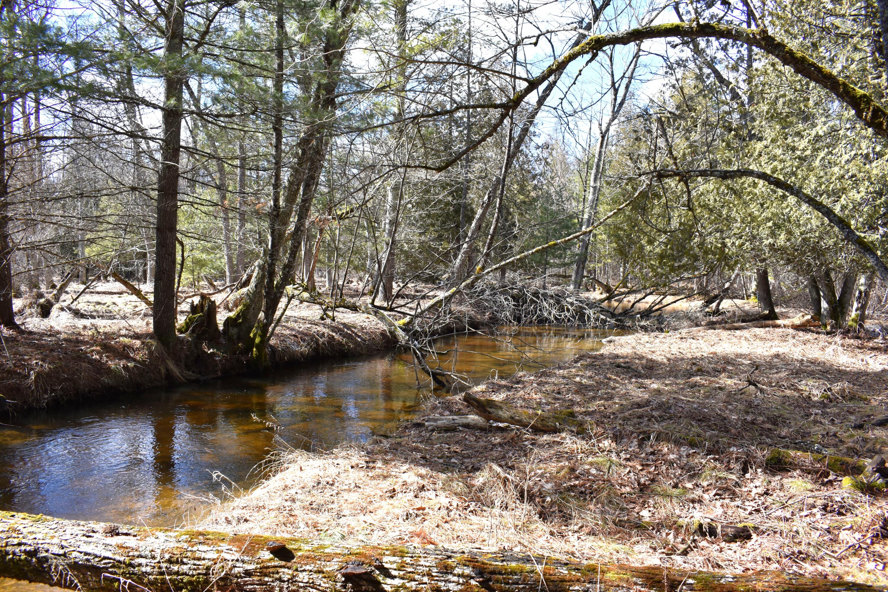 5199 E Marquette Trail