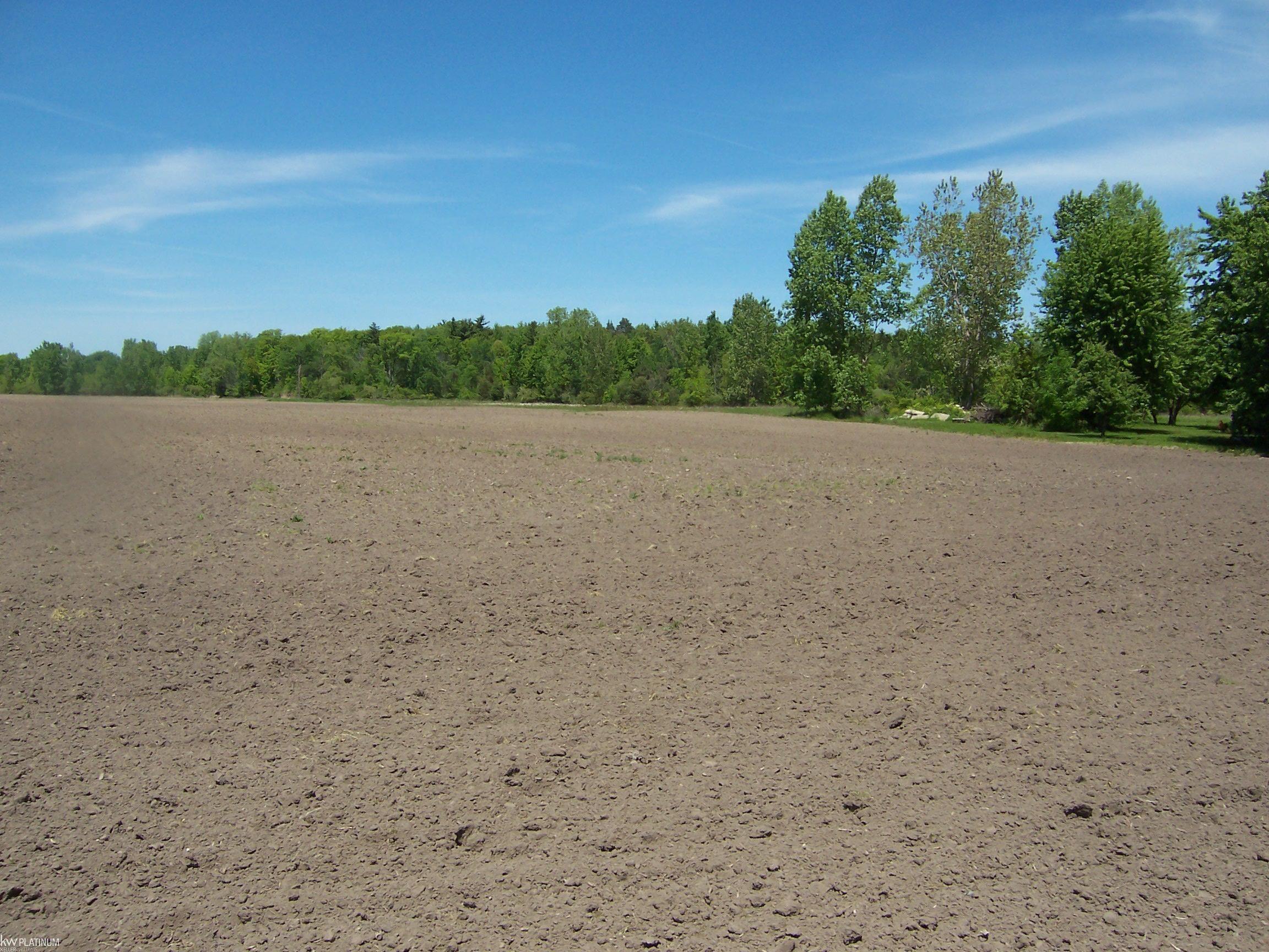 Lot 8 Lapeer Rd Road