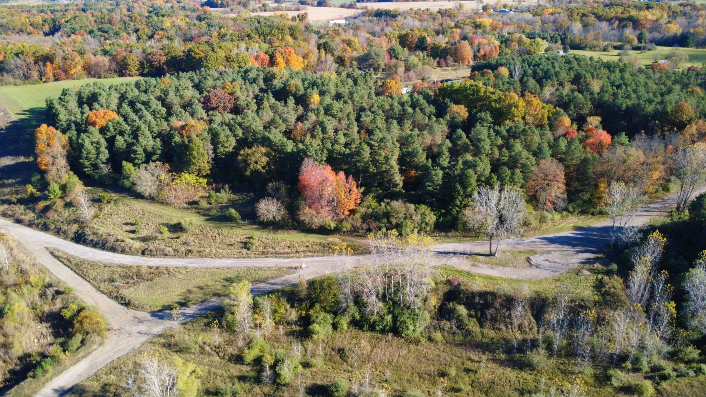 10241 N McKinley Road