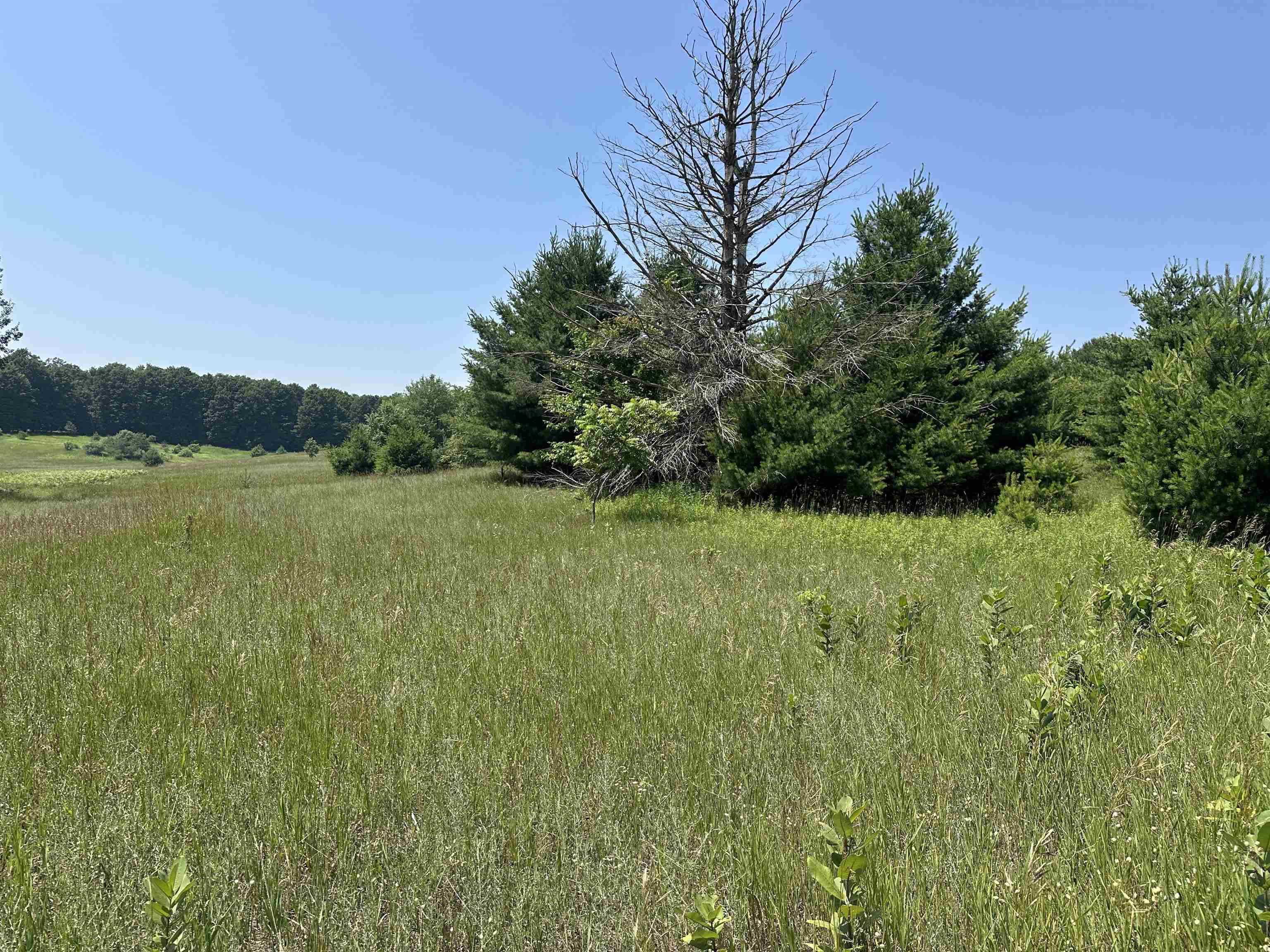 Parcel 3 Bright Road