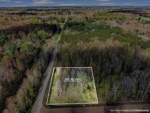 #0014 V/L Brown Road Vassar Township MI 48768