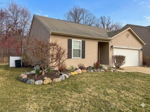 2822 Kalkaska River Drive Handy Township MI 48836