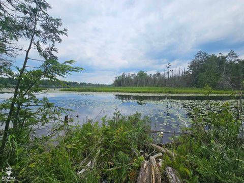 Spile Dam Road Case Township MI 49759