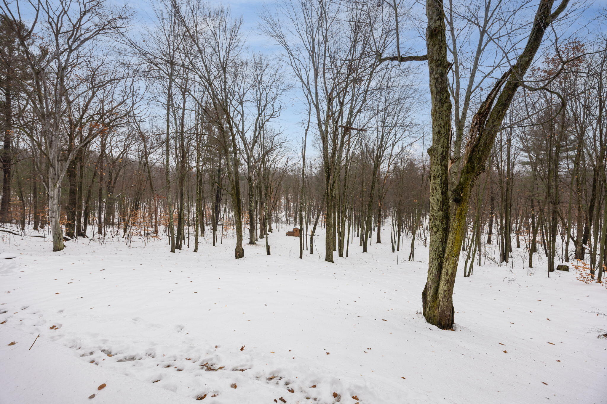 23020 13 Mile Road