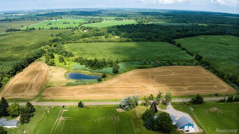 V/L Custer Road Sanilac Township MI 48419