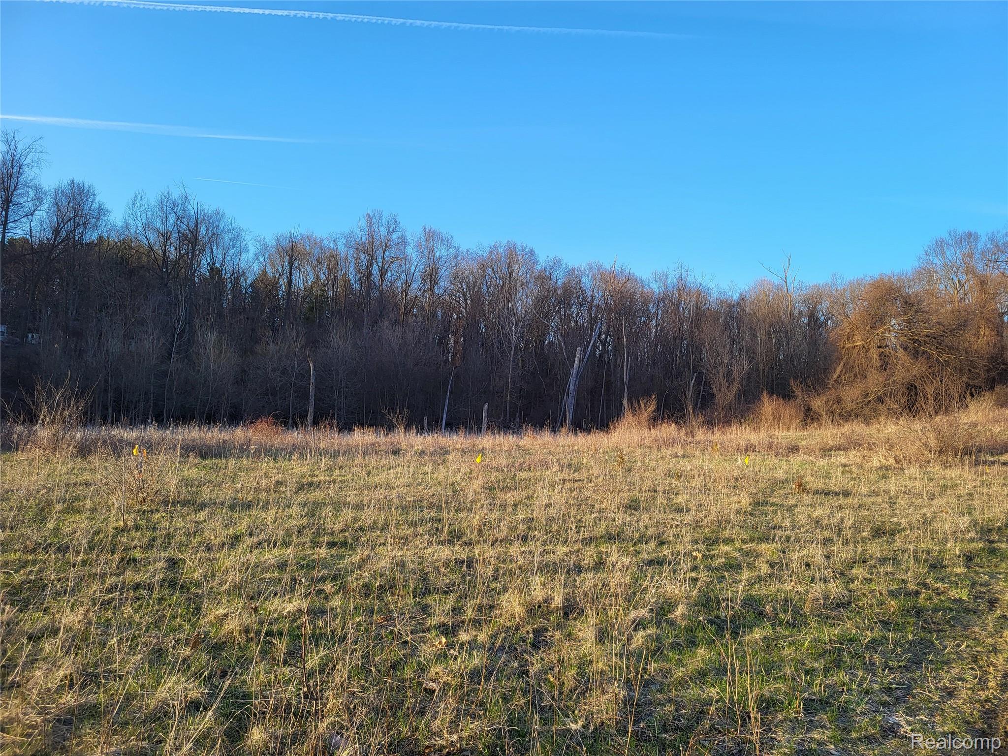 TBD Parcel C Olivia Drive