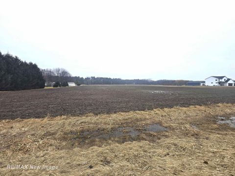 VL S Thomas Road Swan Creek Township MI 48609