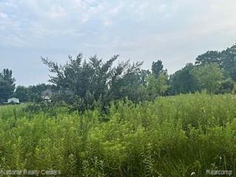 00 Stow Road Conway Township MI 48892