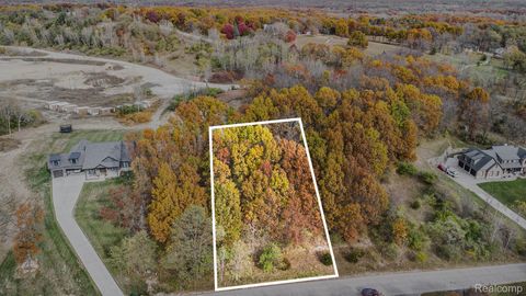 11136 Delphinium Drive Tyrone Township MI 48430