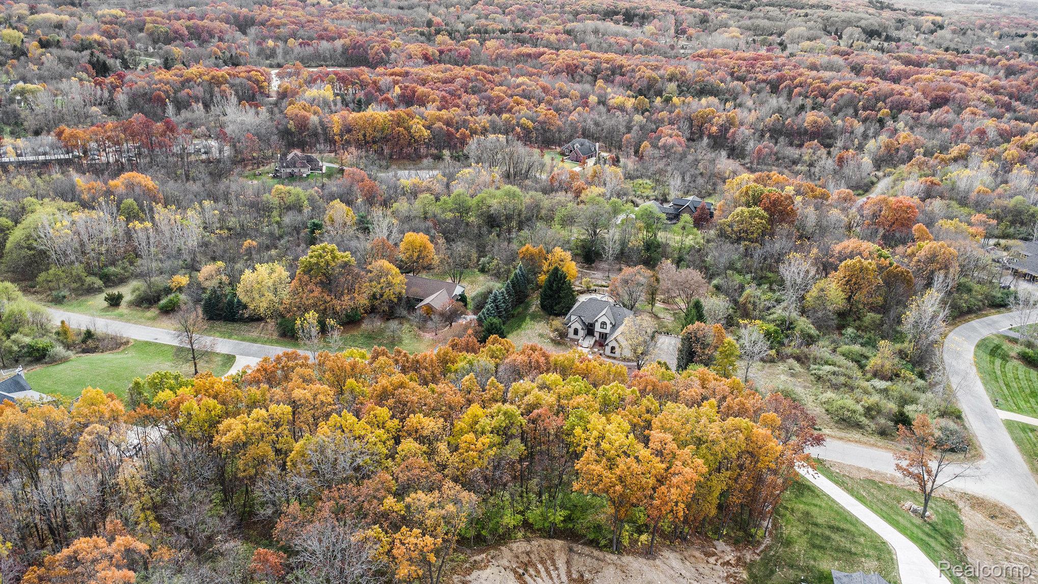 11136 Delphinium Drive