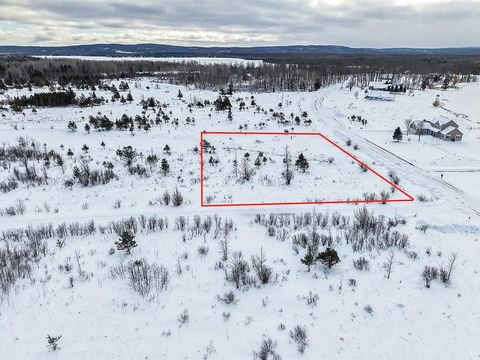 6412 Lora Bette Drive Littlefield Township MI 49706