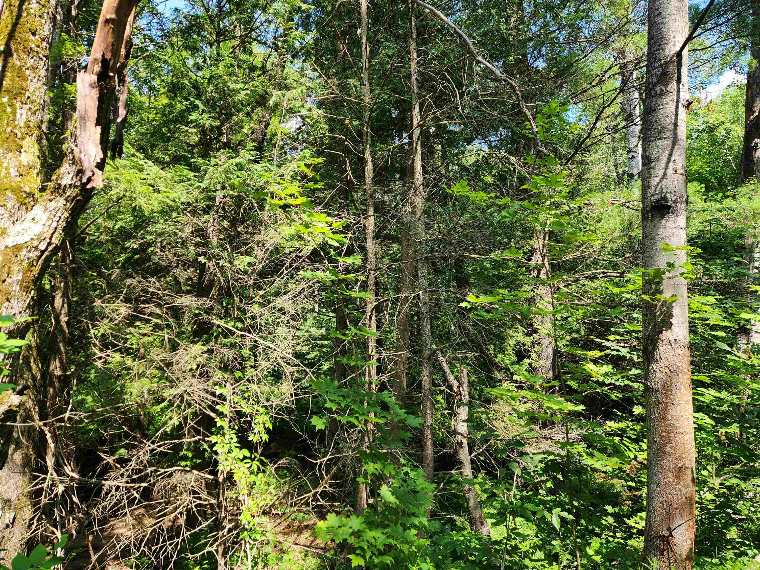 500 East Trail